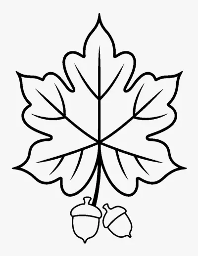 Big Maple Leaf and Acorns coloring page