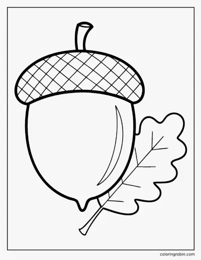 Big Acorn coloring page