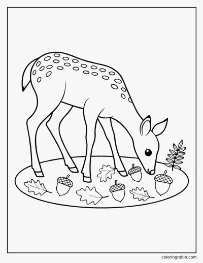 Fawn Eating Acorns coloring page