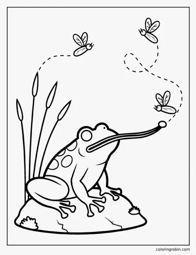 Frog Catching a Fly coloring page