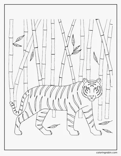 Tiger in Bamboo coloring page